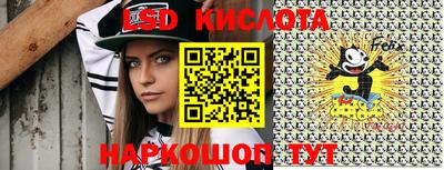 spice Рыбинск