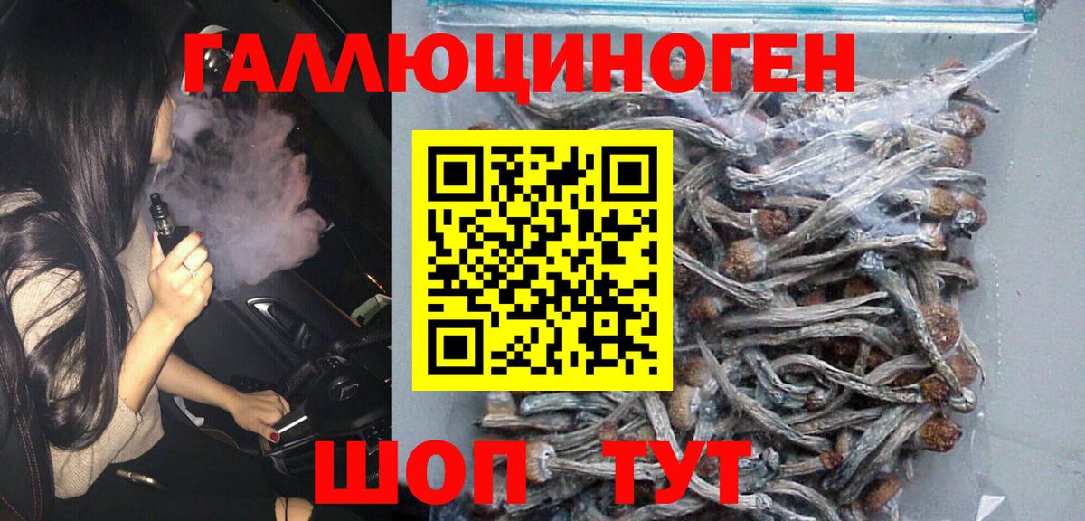 Новороссийск  Псилоцибиновые грибы GOLDEN TEACHER  Вход с VPN 